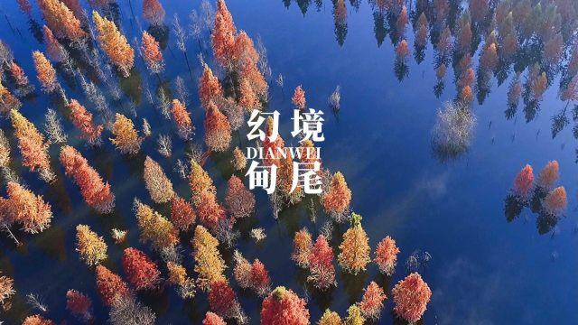 在《指环王》中,为何甘道夫把Frodo视为英雄?- 专业有问必答平台